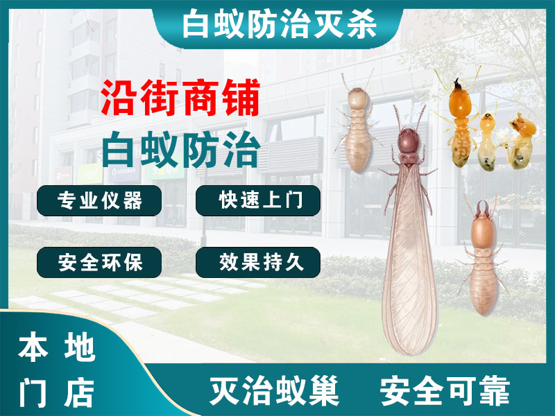 润州沿街商铺白蚁防治