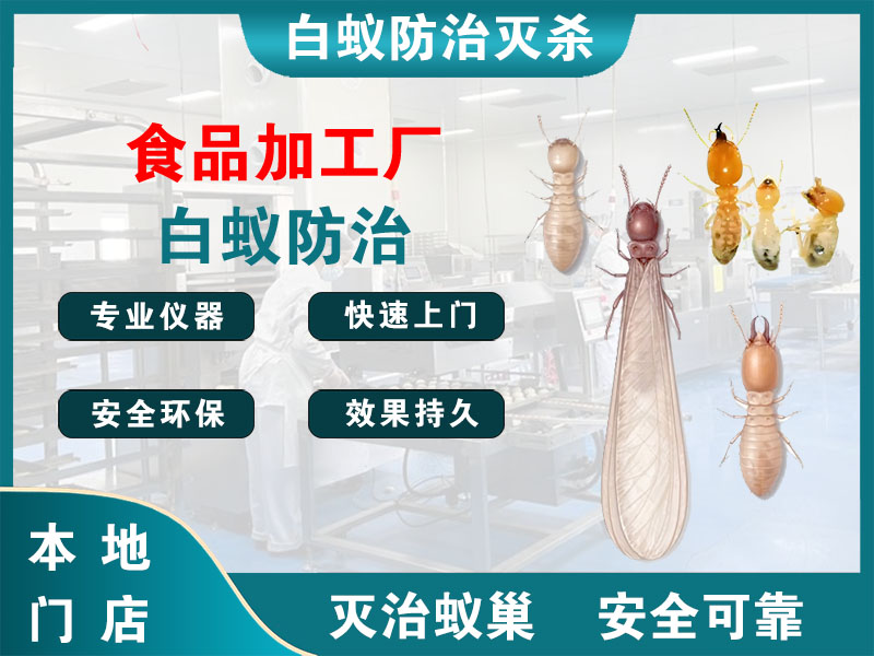 润州食品加工厂白蚁防治