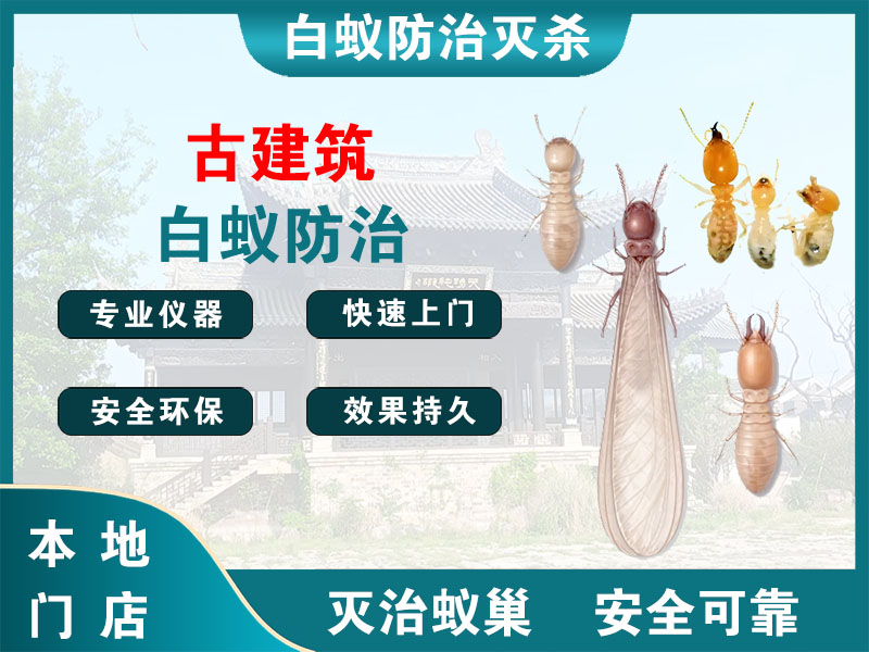 润州古建筑白蚁防治