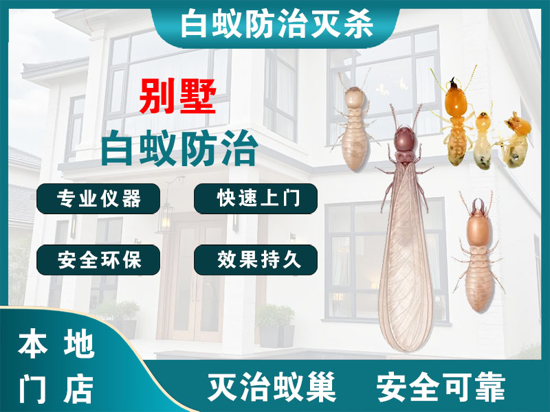 润州别墅白蚁防治
